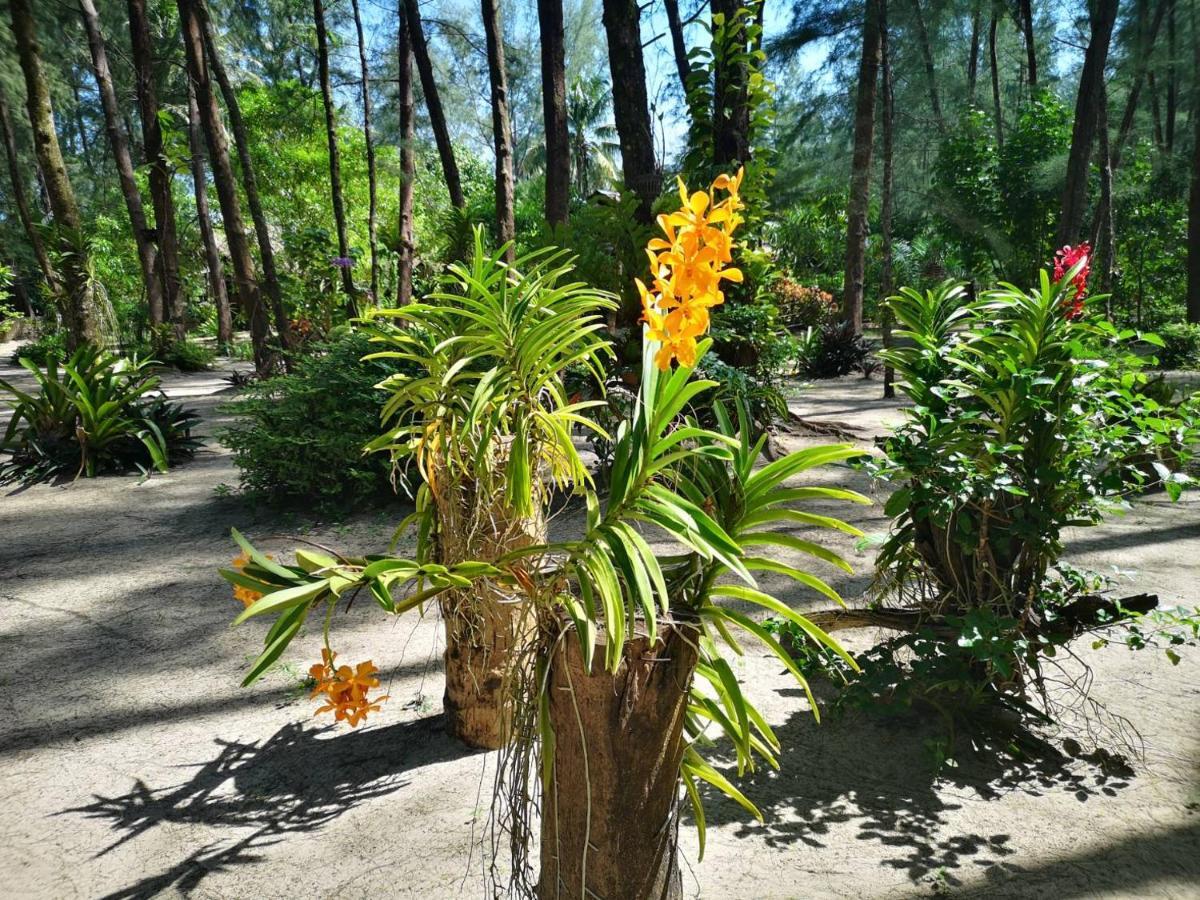 Hapla Beach Cottage Koh Kho Khao Island Экстерьер фото